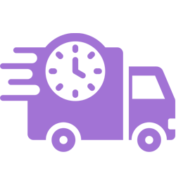 Express Delivery Service